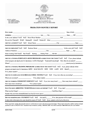 Probation Monthly Report Form