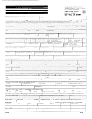 Tennessee Multi-Purpose Vehicle Application