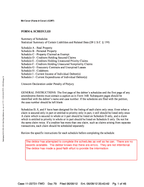 Bankruptcy Schedules Form 6 Cover