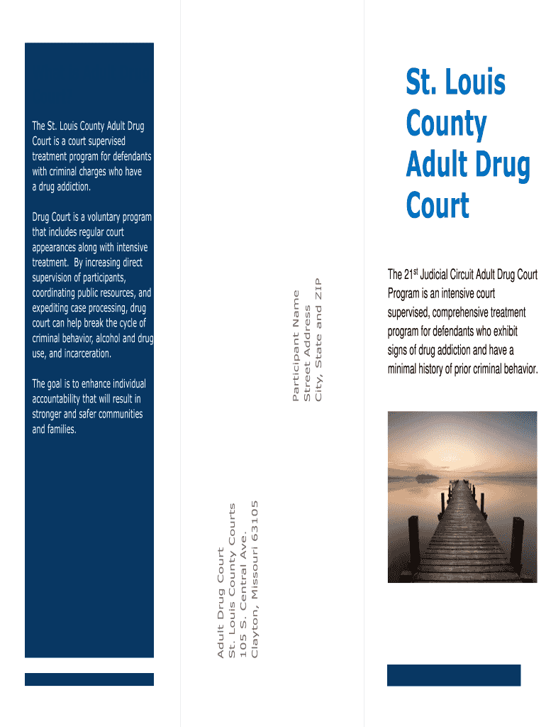 Fillable Online ST. LOUIS DRUG COURTS - 22nd Circuit Court, St. Louis ...