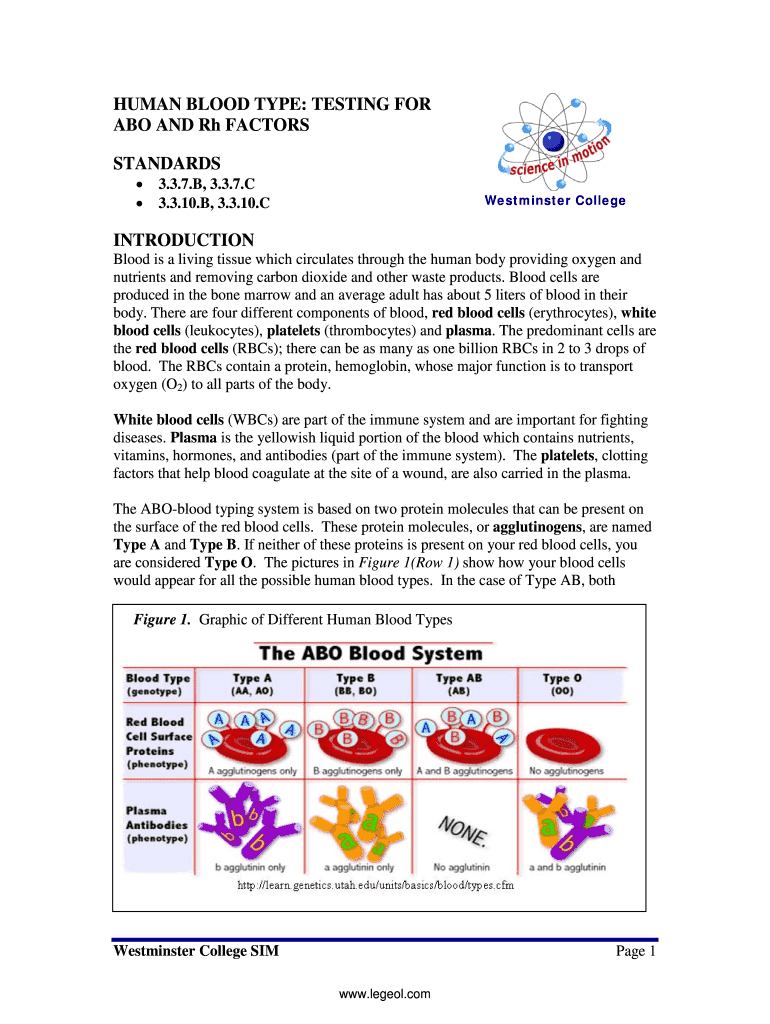 Fillable Online HUMAN BLOOD TYPE: TESTING FOR ABO AND Rh ... Fax Email ...