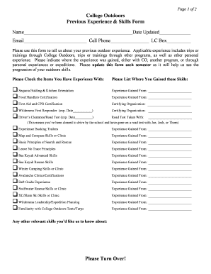 Form preview