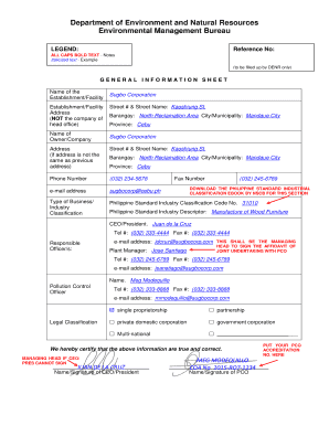 Form preview picture