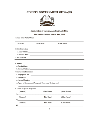 Declaration of Income, Assets & Liabilities