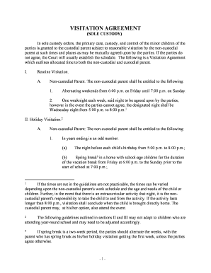 Visitation Sample - Fill Online, Printable, Fillable, Blank | pdfFiller