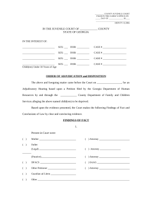 Order of Adjudication and Disposition - Georgia