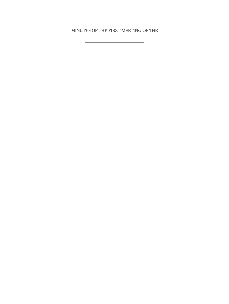 minutes meeting company Preview on Page 1