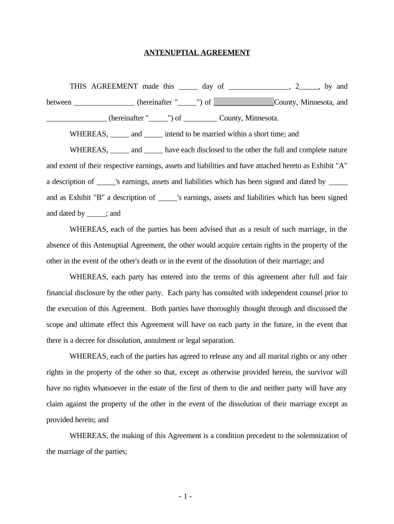 mn antenuptial agreement Preview on Page 1.