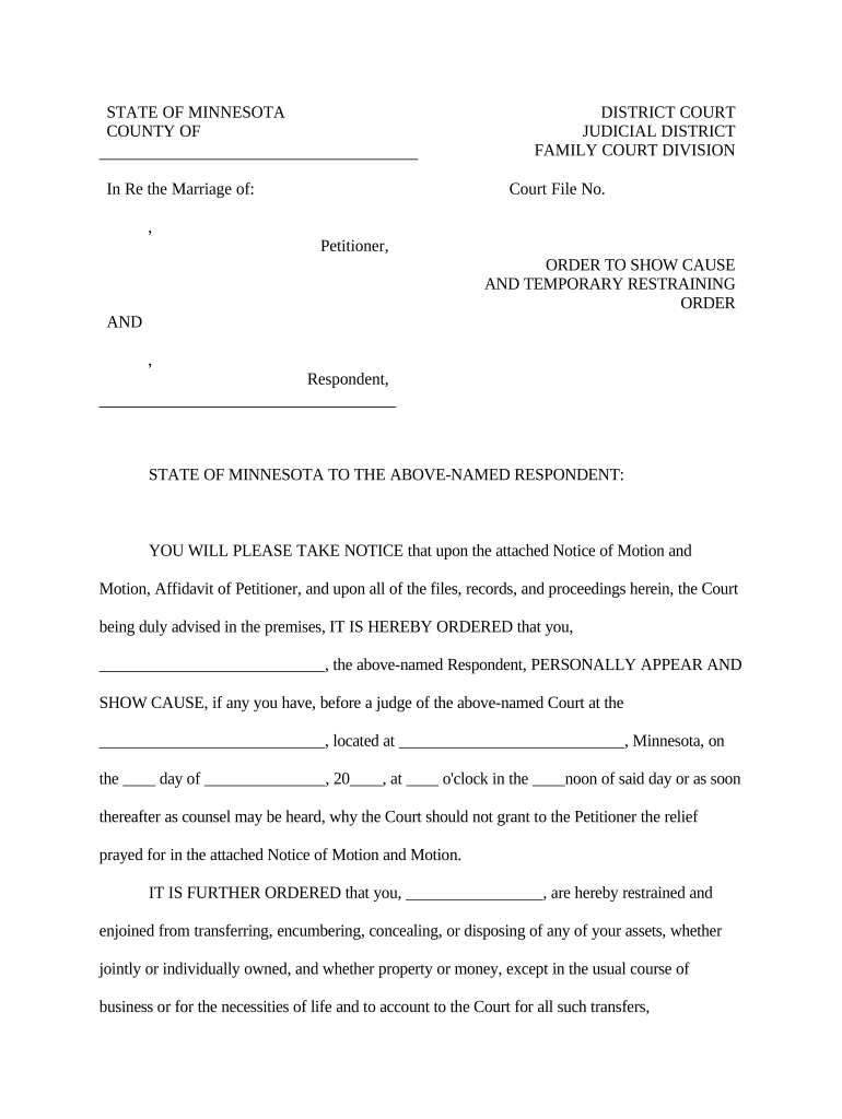 Minnesota Restraining Order Doc Template PdfFiller