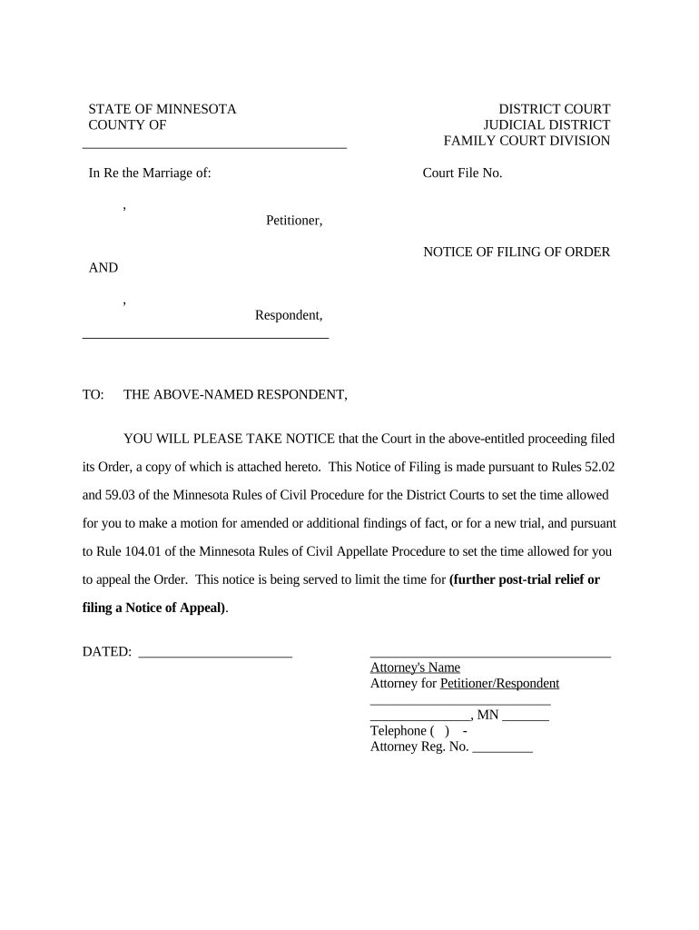 minnesota order document Preview on Page 1.