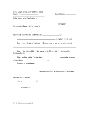New York Name Change Consent Form
