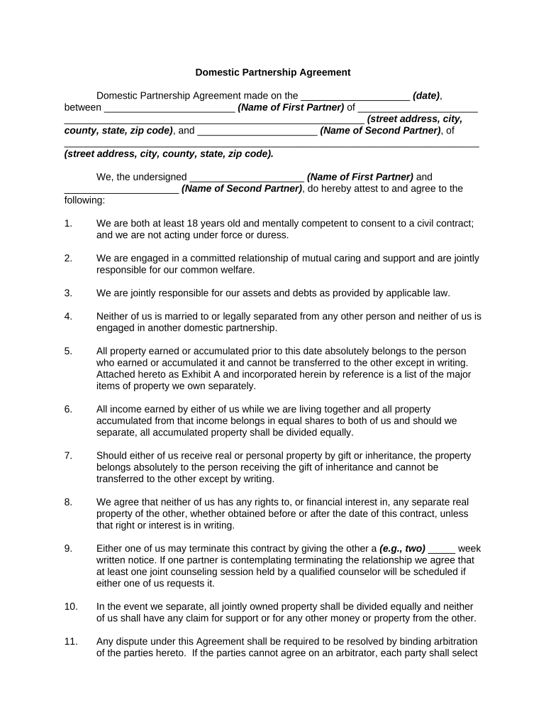 domestic partnership document Preview on Page 1