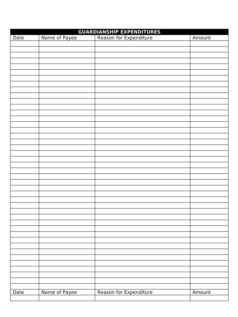 Guardianship Expenditures Preview on Page 1