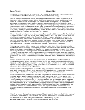 Statement plea guilty