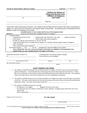 Wisconsin petition form
