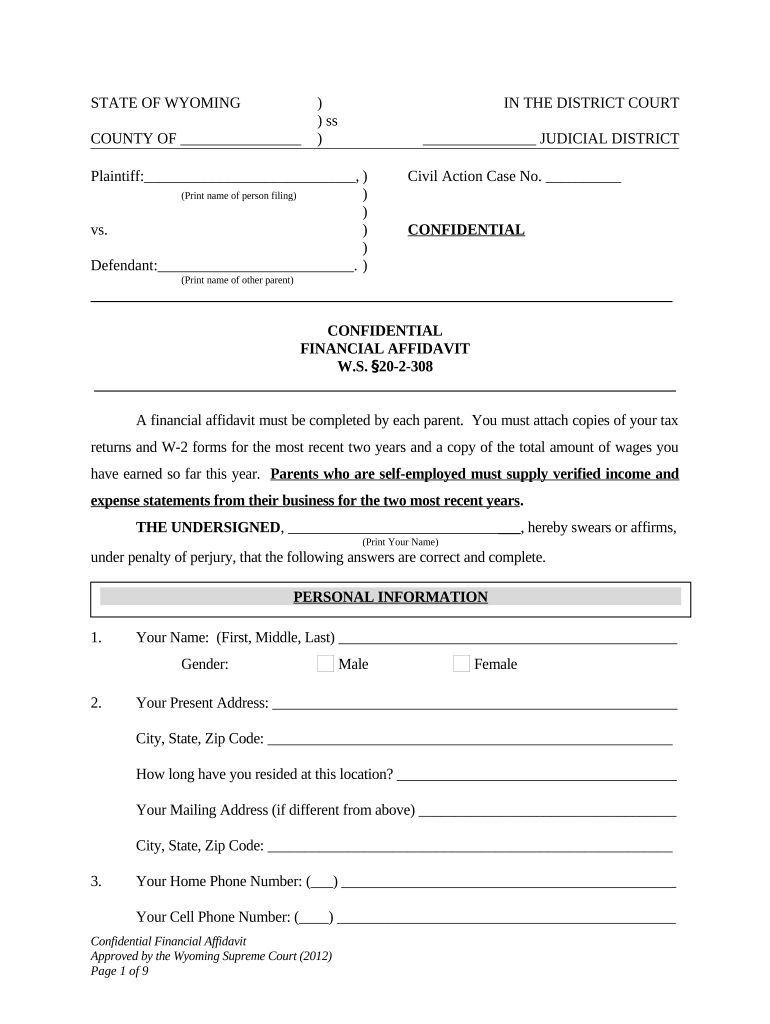 Confidential Financial Affidavit - Wyoming Preview on Page 1