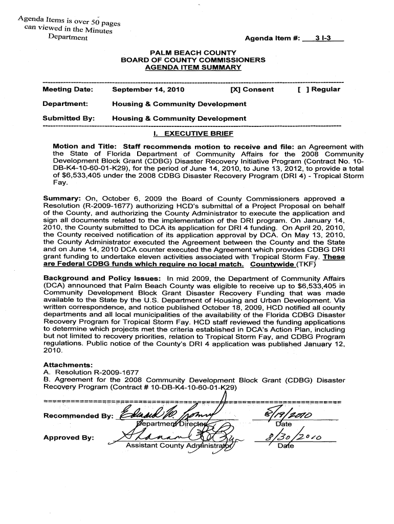 Fillable Online Staff motion to ratify Palm Beach County