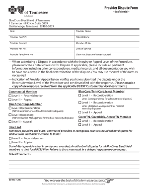 Provider Dispute Form