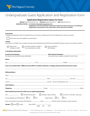 Form preview picture