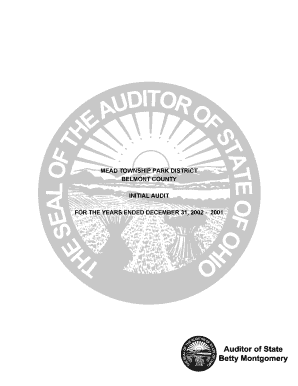 Mead township park district belmont county initial audit for the years ... - auditor state oh