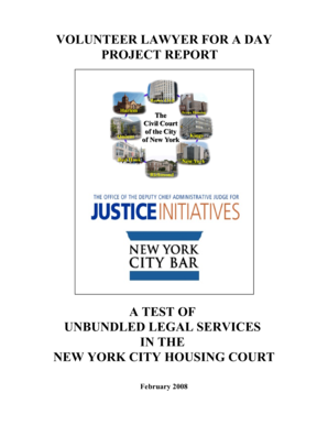 VOLUNTEER LAWYER FOR A DAY PROJECT REPORT A TEST OF ... - nycourts