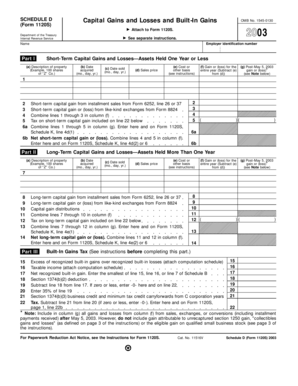 Schedule D Form 1120S Capital Gains and Losses