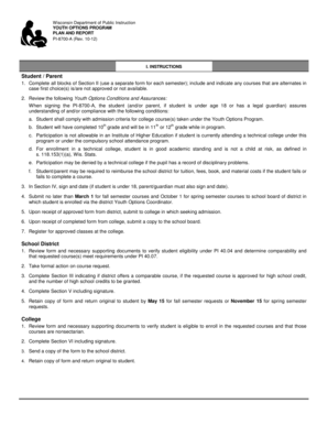 Wisconsin Youth Options Program Plan and Report