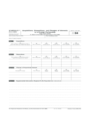 IRS Form 8865 Schedule P