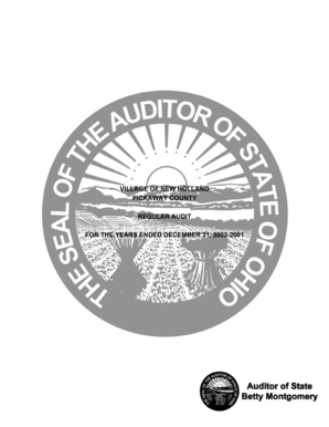 VILLAGE OF NEW HOLLAND - auditor state oh