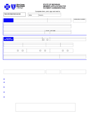 Form preview picture