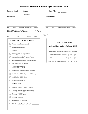Domestic Relations Case Filing Information Form
