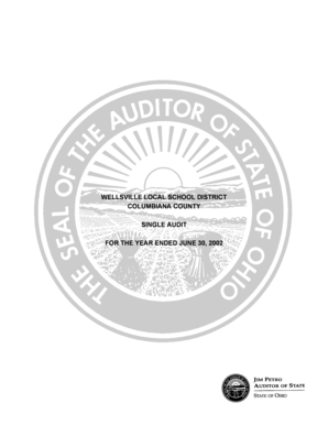 And Account Groups - auditor state oh