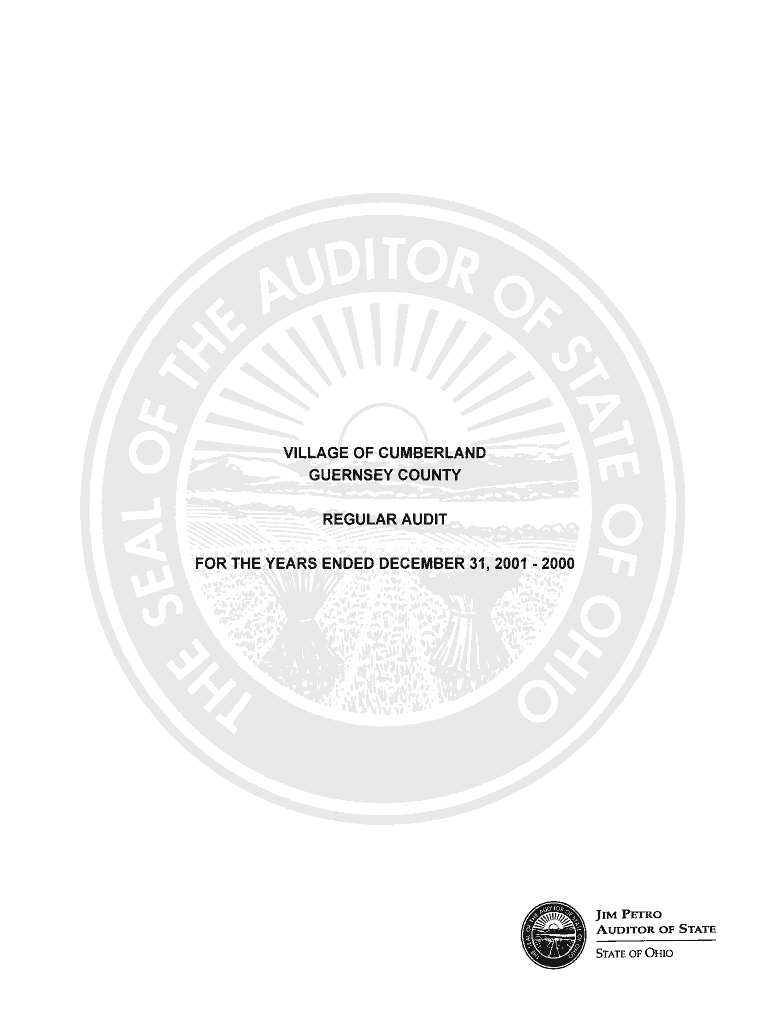 VillageofCumberland01-Guernsey DOC - auditor state oh Preview on Page 1