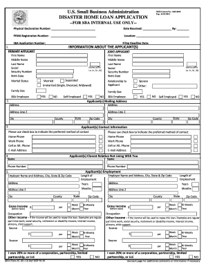 Disaster Home Loan Application