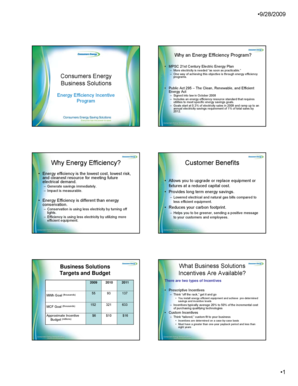 Michigan Energy Efficiency Incentive Application