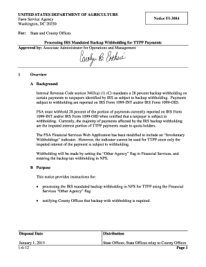 form 1096 fsa