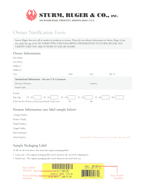 Form preview picture