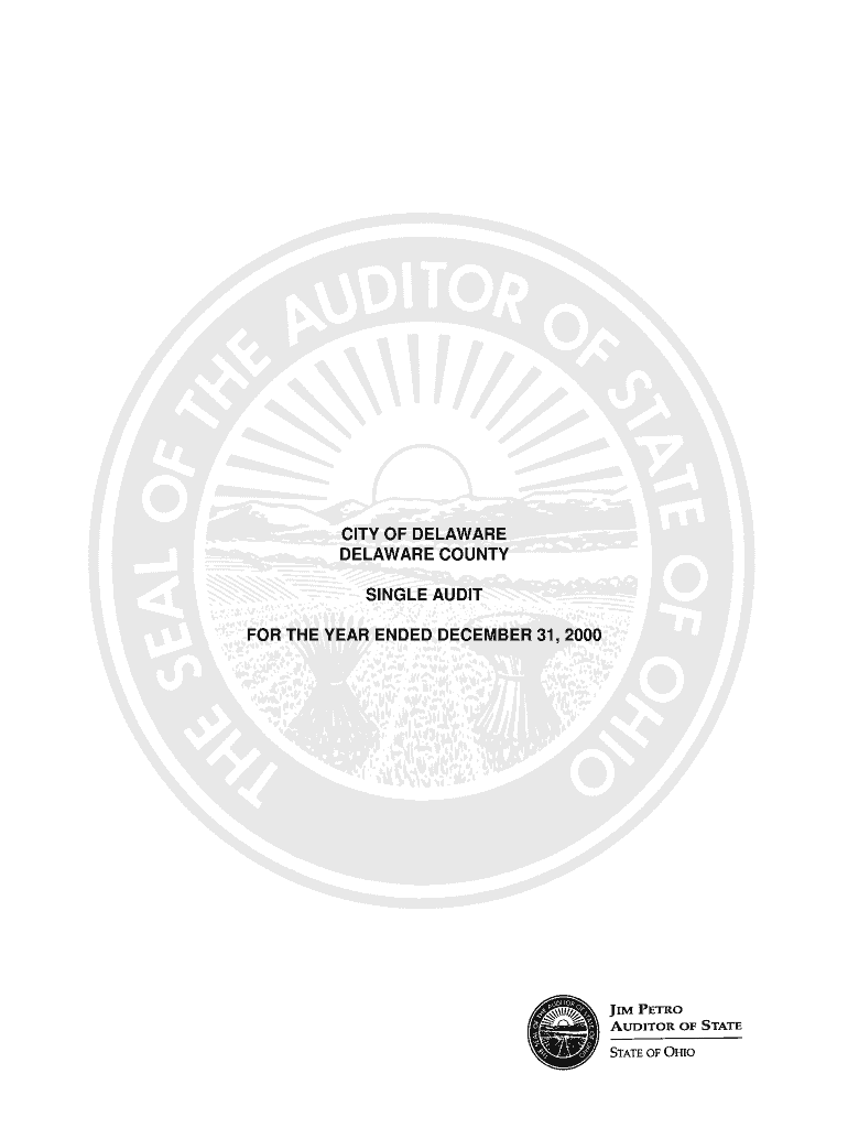 CITY OF DELAWARE auditor state oh Fill out & sign online DocHub