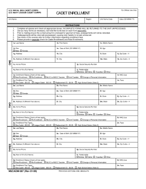 Form preview picture