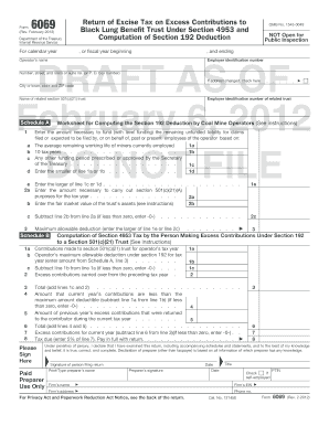 IRS Form 6069 Draft