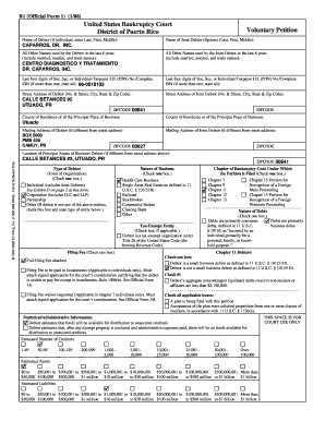 US Bankruptcy Court Voluntary Petition