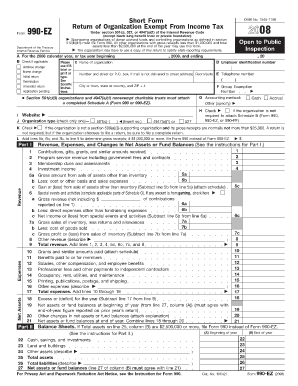 Form 990-EZ 2008