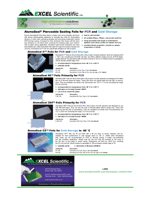 5500 excel form