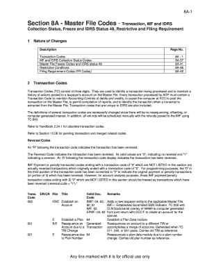 IRS Transaction Codes Guide