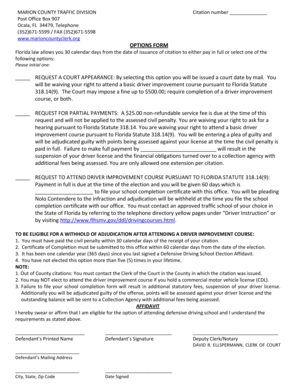 Florida Traffic Citation Options Form