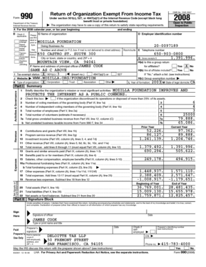 Form 990 2008