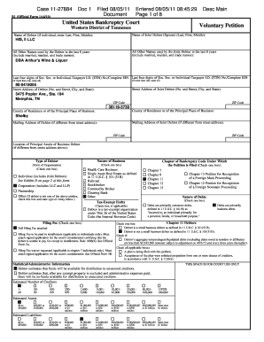 US Bankruptcy Court Voluntary Petition