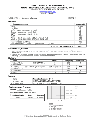 Form preview picture