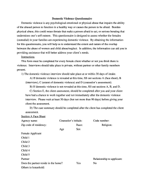 Domestic Violence Questionnaire