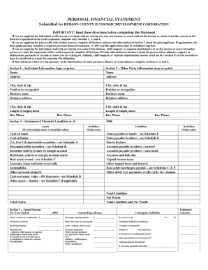 personal financial statement c 100 t form